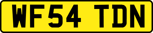 WF54TDN