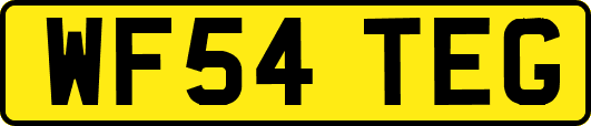WF54TEG