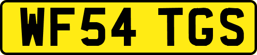 WF54TGS