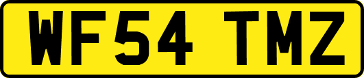 WF54TMZ