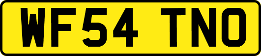 WF54TNO