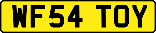 WF54TOY