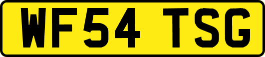 WF54TSG