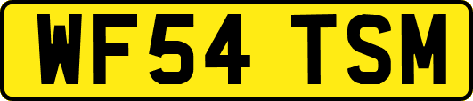 WF54TSM