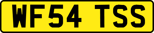 WF54TSS