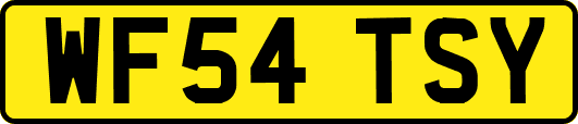 WF54TSY