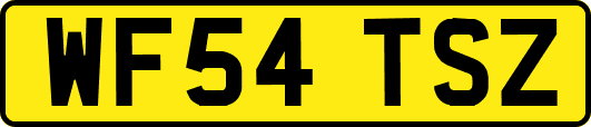 WF54TSZ