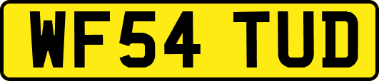 WF54TUD