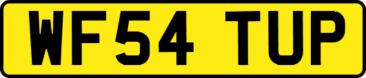WF54TUP