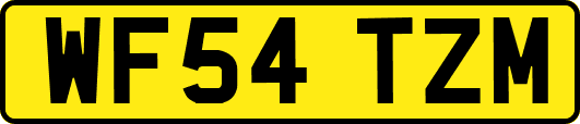 WF54TZM