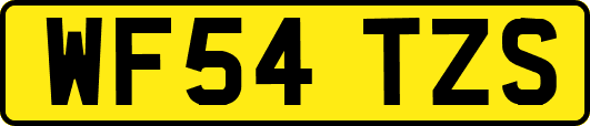 WF54TZS