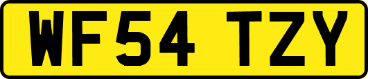 WF54TZY