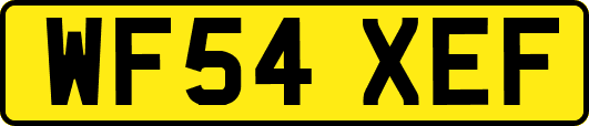 WF54XEF