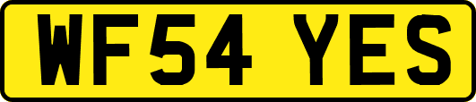 WF54YES