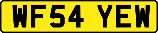 WF54YEW