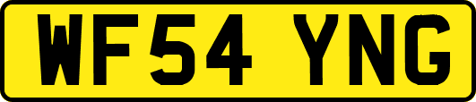 WF54YNG