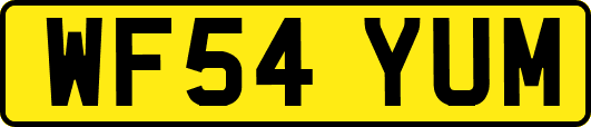 WF54YUM
