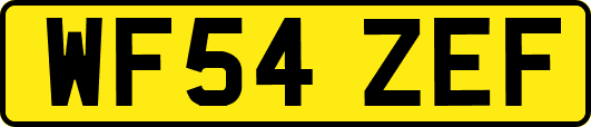 WF54ZEF