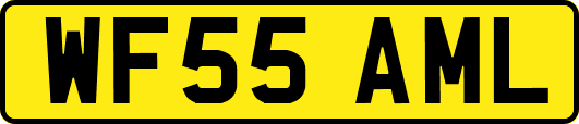 WF55AML