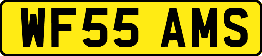 WF55AMS
