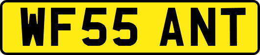 WF55ANT