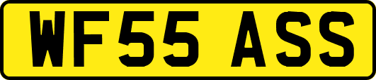 WF55ASS