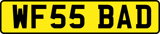 WF55BAD