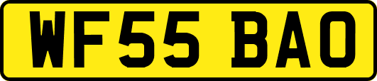 WF55BAO