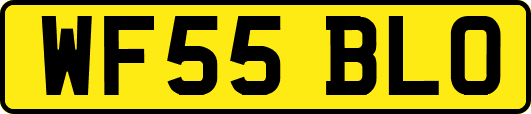 WF55BLO