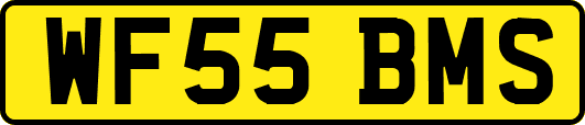 WF55BMS