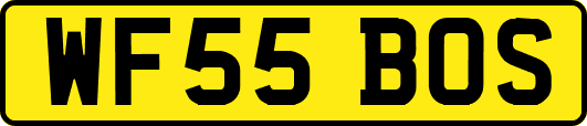 WF55BOS