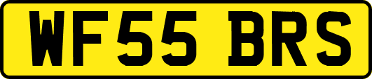 WF55BRS