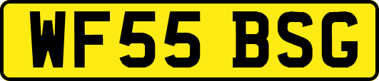 WF55BSG