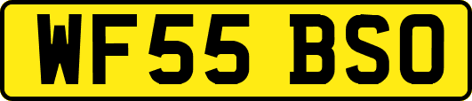 WF55BSO