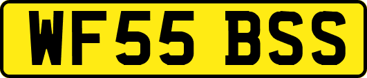 WF55BSS