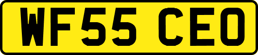 WF55CEO