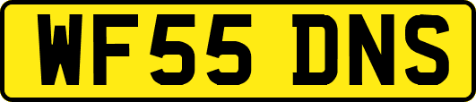 WF55DNS