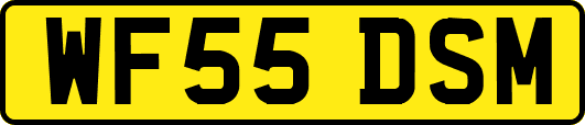 WF55DSM