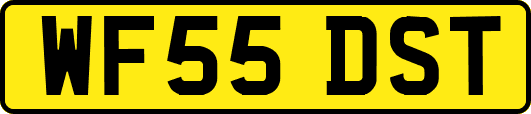 WF55DST