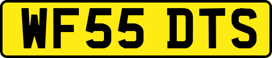 WF55DTS