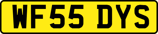 WF55DYS