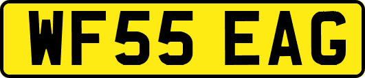 WF55EAG