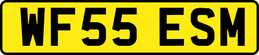 WF55ESM