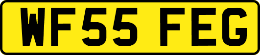 WF55FEG