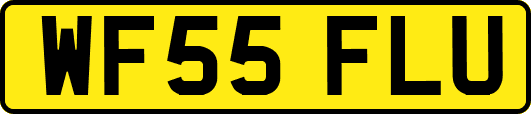 WF55FLU