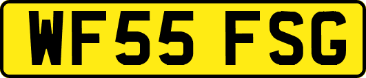 WF55FSG