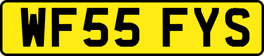 WF55FYS