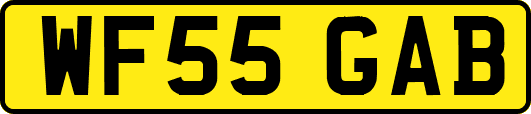 WF55GAB