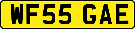 WF55GAE