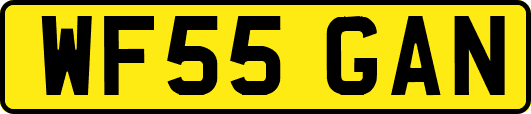 WF55GAN